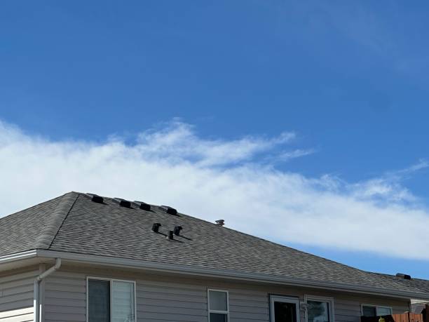 Professional Roofing Service in Hartwell, GA